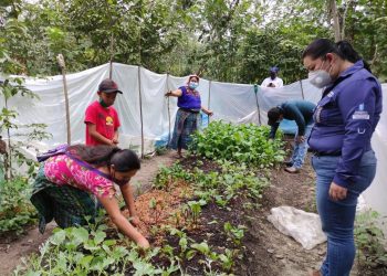 Mineduc impulsa implementación de Huertos Pedagógicos Familiares Comunitarios en Baja Verapaz