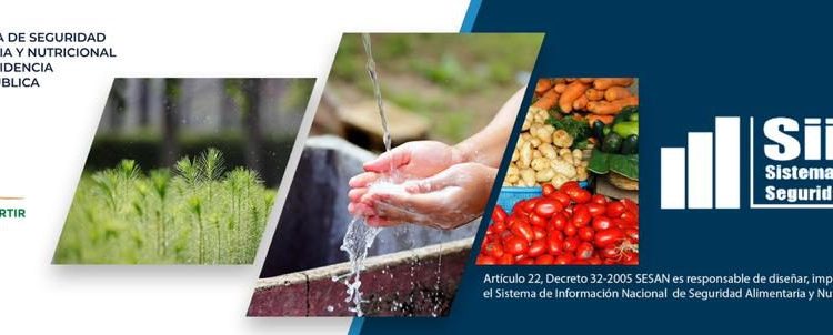 Fortalecimiento del Sistema de Información Nacional de SAN (SIINSAN) en el año 2020