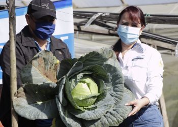 Huerto Pedagógico Familiar Comunitario brinda sus primeras cosechas