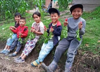 Integramos acciones para la seguridad alimentaria en el 2020