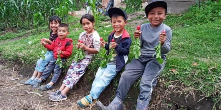 Integramos acciones para la seguridad alimentaria en el 2020