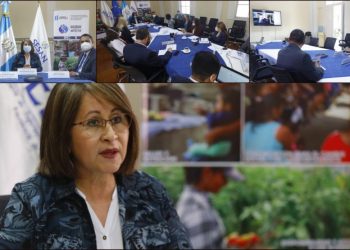 Cooperación internacional y aliados estratégicos a favor de la SAN de Guatemala