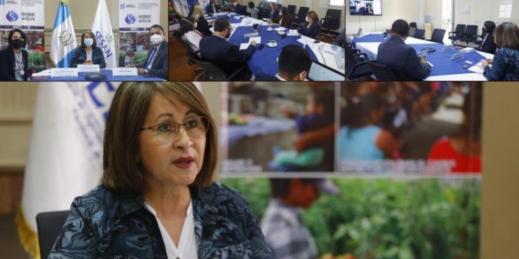 Cooperación internacional y aliados estratégicos a favor de la SAN de Guatemala