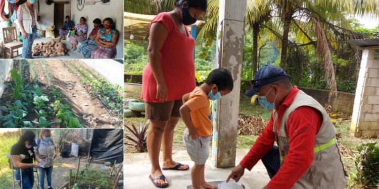 La SESAN coordina acciones contra la desnutrición a nivel nacional