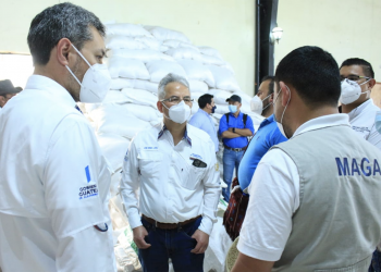 Supervisan entrega de alimentos y huertos familiares en Jalapa