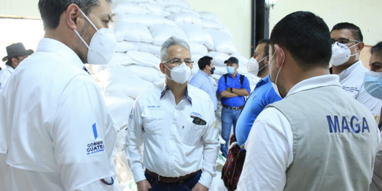 Supervisan entrega de alimentos y huertos familiares en Jalapa