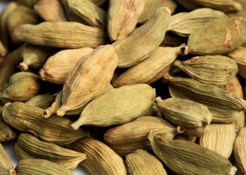 Exportaciones guatemaltecas reflejan comportamiento favorable durante 2020