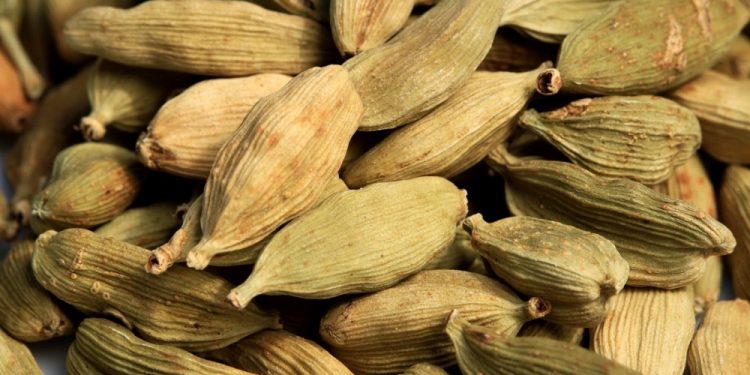 Exportaciones guatemaltecas reflejan comportamiento favorable durante 2020