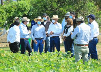 Reactivación productiva y económica para agricultores de Baja Verapaz