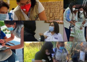 SESAN impulsa la equidad de género