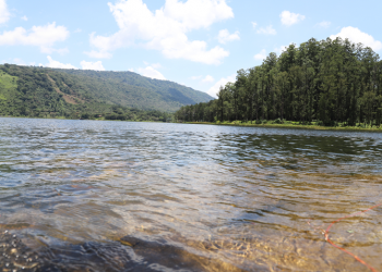 Día Mundial de la Vida Silvestre
