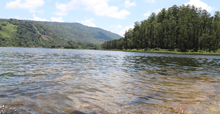 Día Mundial de la Vida Silvestre