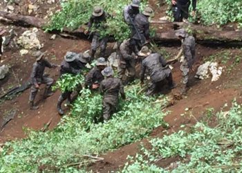 Ejército de Guatemala localiza y apoya en erradicación de ilícitos en Petén