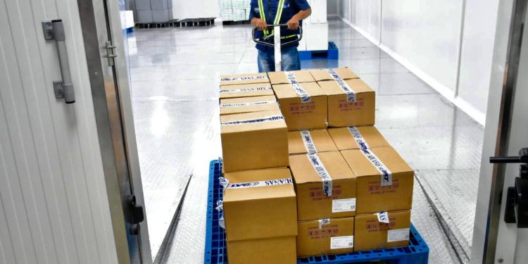 Guatemala recibe primeras vacunas compradas por medio del Mecanismo COVAX
