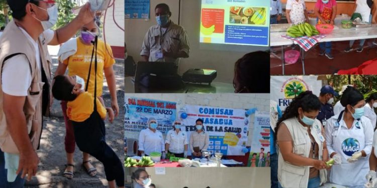 Continúa apoyo de sector privado para mejorar la nutrición de las familias en Escuintla y Suchitepéquez