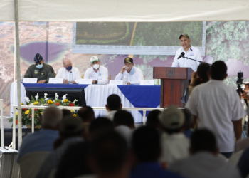 Concesiones forestales comunitarias protegen los recursos naturales de Petén