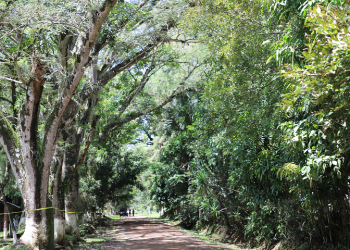 Guatemala fortalece procesos de adaptación al cambio climático