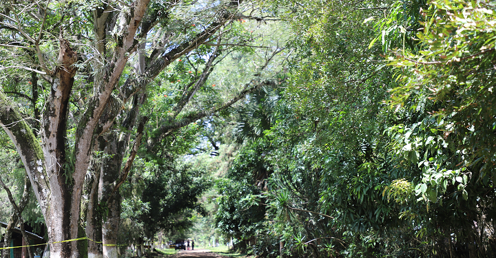 Guatemala fortalece procesos de adaptación al cambio climático