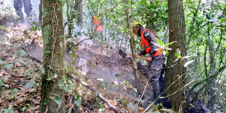 Ejército de Guatemala participa en capacitación de equipos que apoyarán proceso de vacunación contra el Coronavirus, COVID-19