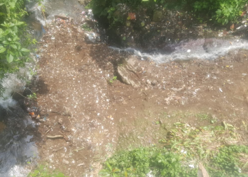Jornada de limpieza protege la cuenca del río Ocosito