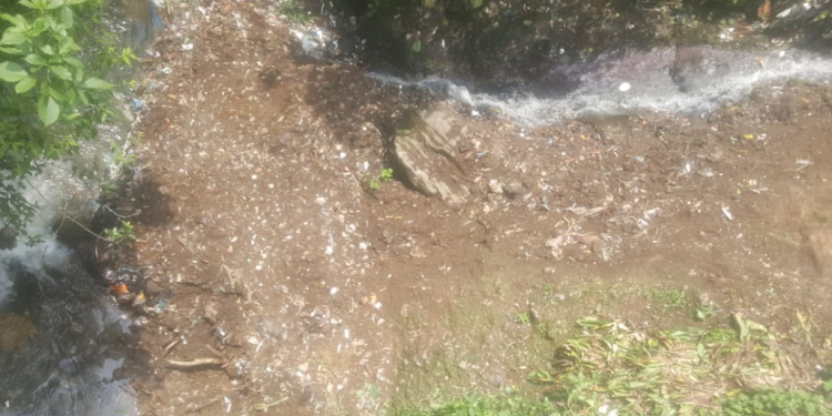 Jornada de limpieza protege la cuenca del río Ocosito