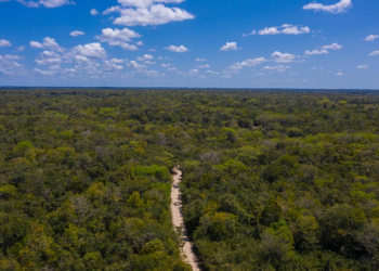Este es el aporte del MARN que ayuda a proteger el planeta Tierra