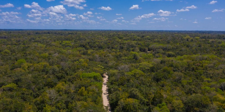 Este es el aporte del MARN que ayuda a proteger el planeta Tierra