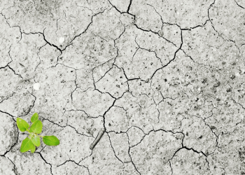 Formulan Planes Departamentales de Cambio Climático