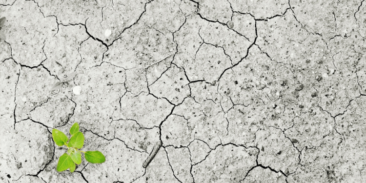 Formulan Planes Departamentales de Cambio Climático