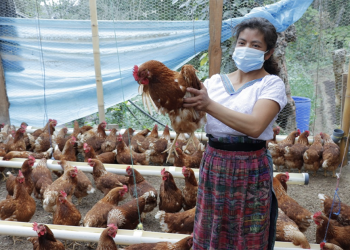 Un ejemplo de emprendimiento y desarrollo comunitario