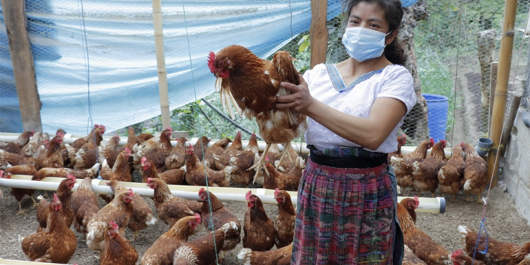 Un ejemplo de emprendimiento y desarrollo comunitario