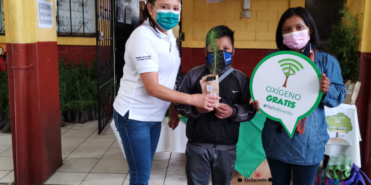Estudiantes de Sacatepéquez protegen los árboles
