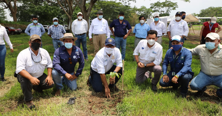 Cuenca del río Ocosito es reforestada