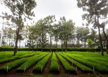 Gobierno de Alemania brinda recursos para la adaptación al cambio climático en Quiché
