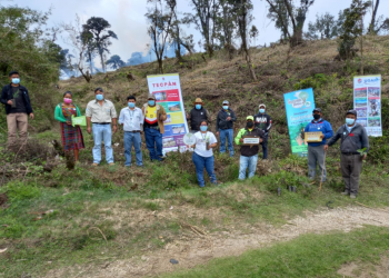 Delegaciones del MARN avanzan con programa de reforestación