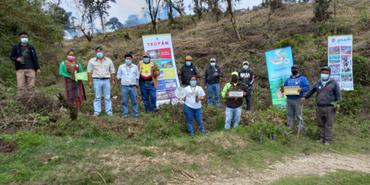 Delegaciones del MARN avanzan con programa de reforestación