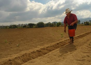 Recomiendan sembrar maíz y frijol antes que inicie la época lluviosa en Jutiapa