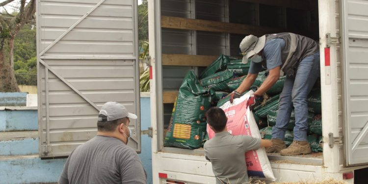 Nueva ayuda para mascotas y animales de trabajo afectados por el volcán de Pacaya