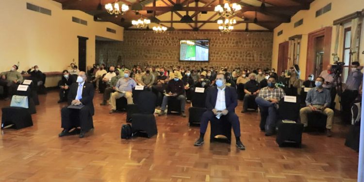 Guatemala reúne a productores y exportadores de aguacate