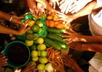 Guatemala avanza en los preparativos para la Cumbre de Sistemas Alimentarios de las Naciones Unidas