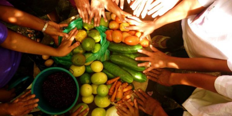 Guatemala avanza en los preparativos para la Cumbre de Sistemas Alimentarios de las Naciones Unidas