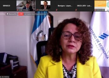 Viceministra de Integración y Comercio Exterior participa en Foro Económico de la OCDE