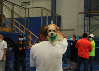 “Doggie” un pequeño peludo que contribuye con la reinserción