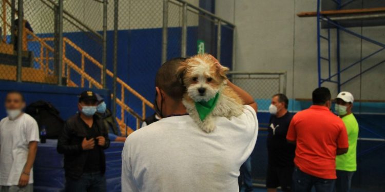 “Doggie” un pequeño peludo que contribuye con la reinserción