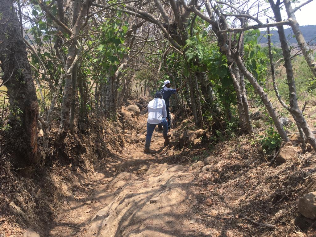 La Unidad de Convoyes Regionales abrirá 50 kilómetros de brecha en Conguaco, Jutiapa Gobierno