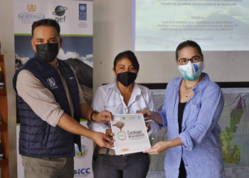 Ministro Mario Rojas visita exitoso emprendimiento apícola en Suchitepéquez