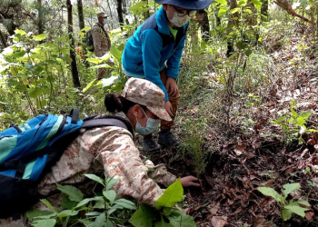 Celebran el Día Mundial del Medio Ambiente