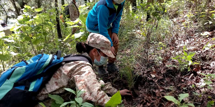 Celebran el Día Mundial del Medio Ambiente