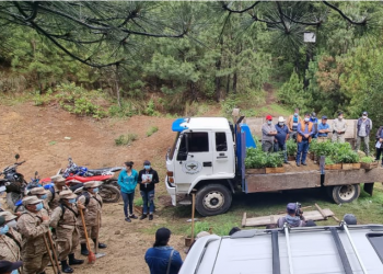 Alta Verapaz, Chimaltenango y Quetzaltenango promueven el desarrollo ambiental