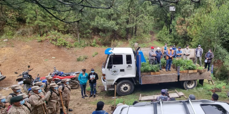 Alta Verapaz, Chimaltenango y Quetzaltenango promueven el desarrollo ambiental